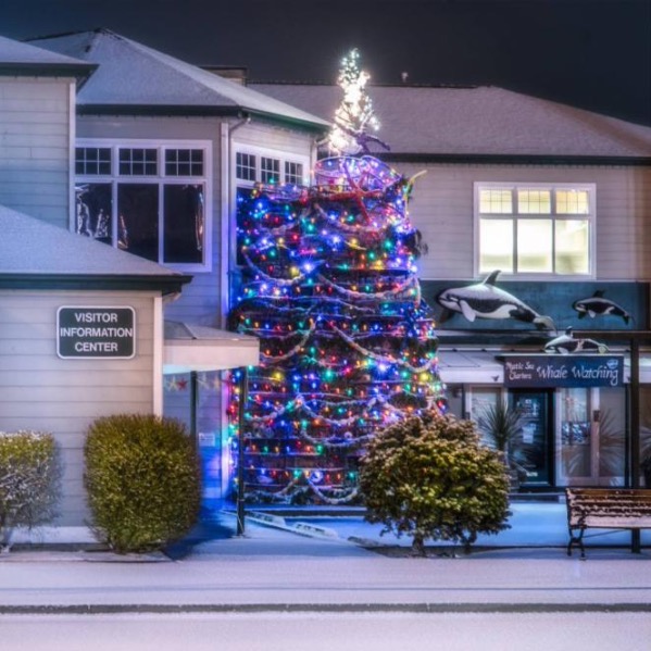 Experience AnacortesYour Island Getaway