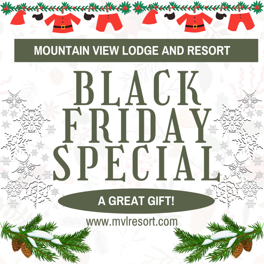 MVL Black Friday Special