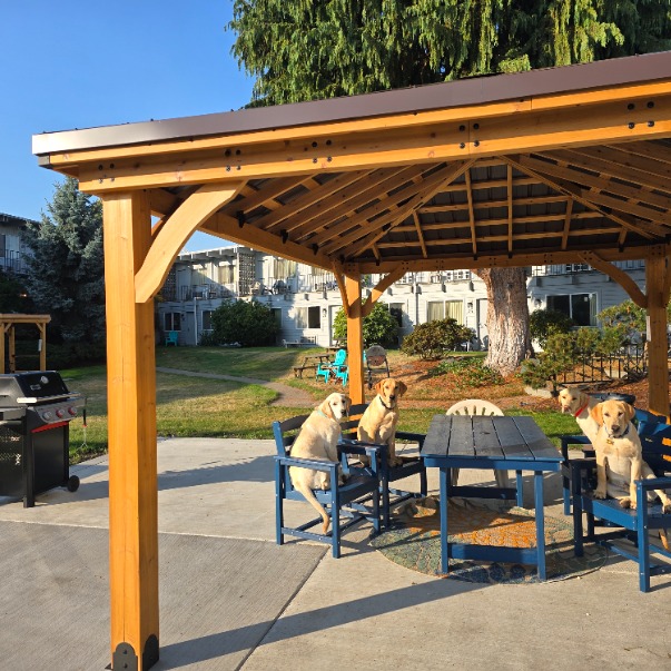 Pet Friendly Cocusa Motel